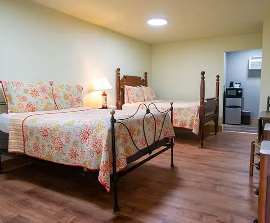 Two beds with pink floral quilts and dark iron frames in a wood-floored room, with a small fridge and microwave on a counter behind them